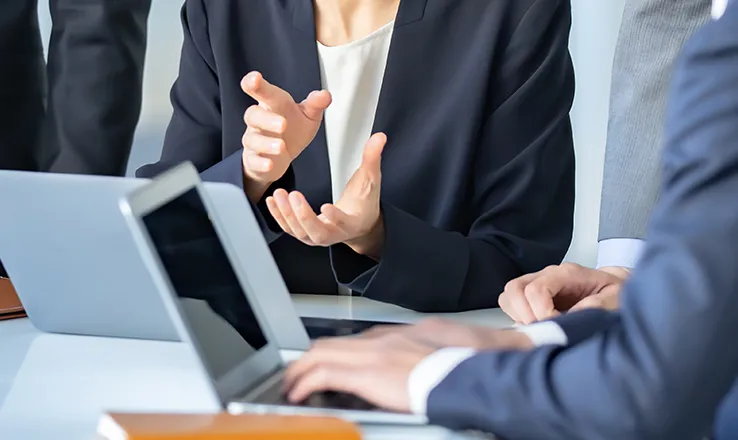 Consulting process